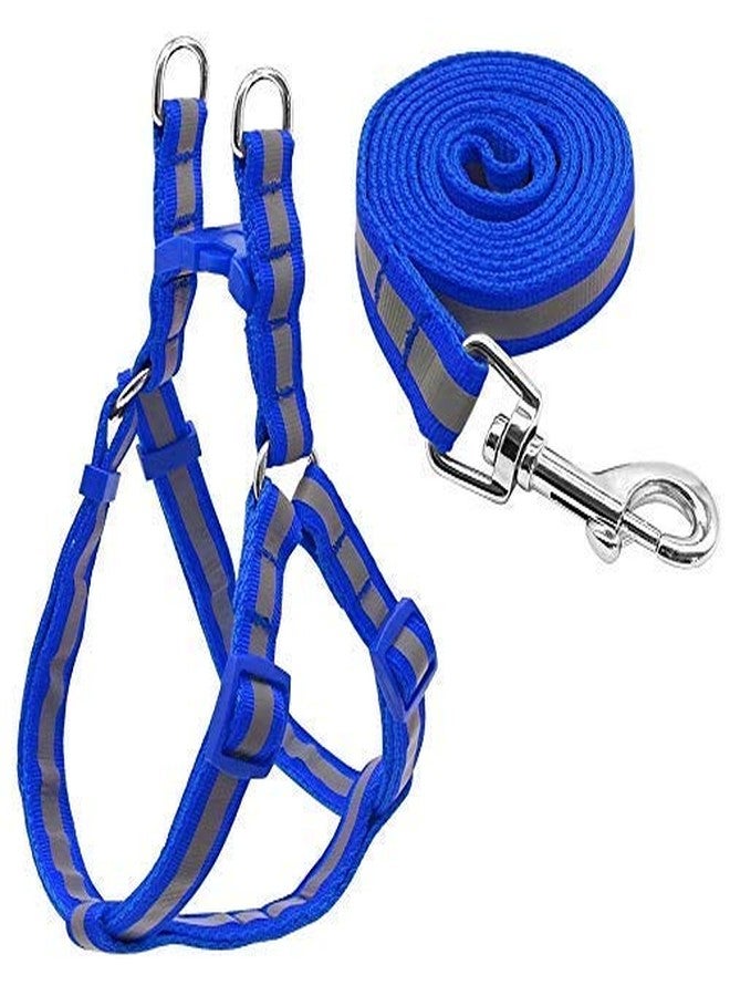 Pups&Pets 15 MM Soft Nylon Strip Pattern Radium/Reflective Dog Harness and Leash Set Ideal for Puppies and Small Breed Dogs (Blue) - Image 1